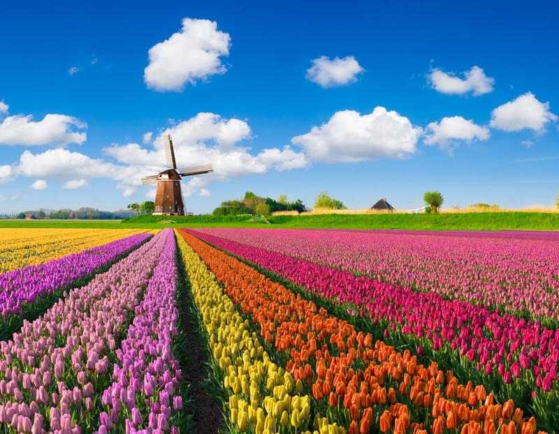 Hollanda'nın Neleri Meşhurdur?