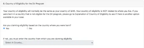 Elektronik Green Card Başvuru Formu Nasıl Doldurulur 2