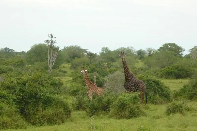 Angola'da Görülmesi Gereken Yerler Nelerdir?