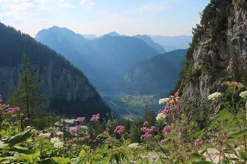 Avusturya Ormanları ve Bitki Örtüsü Nasıldır?