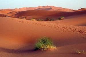 Cezayir'in İklim Özellikleri Nasıldır?