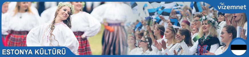 Estonya Kültürü