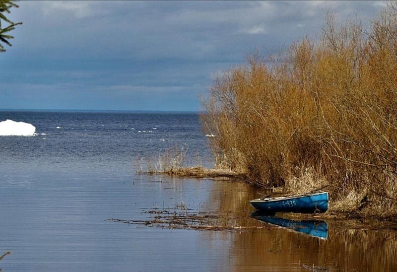 Peipus Gölü - Estonya