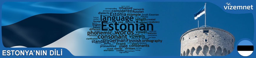 Estonya'nın Dili