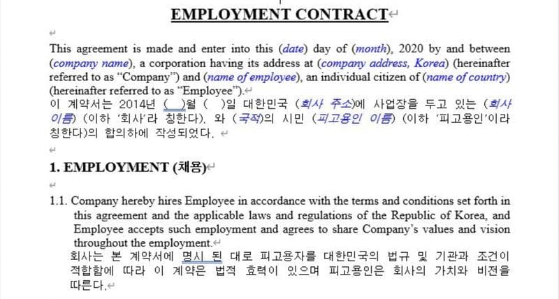 Güney Kore Özel Yetenek Vizesi için İş Sözleşmesi Nasıl Olmalıdır?