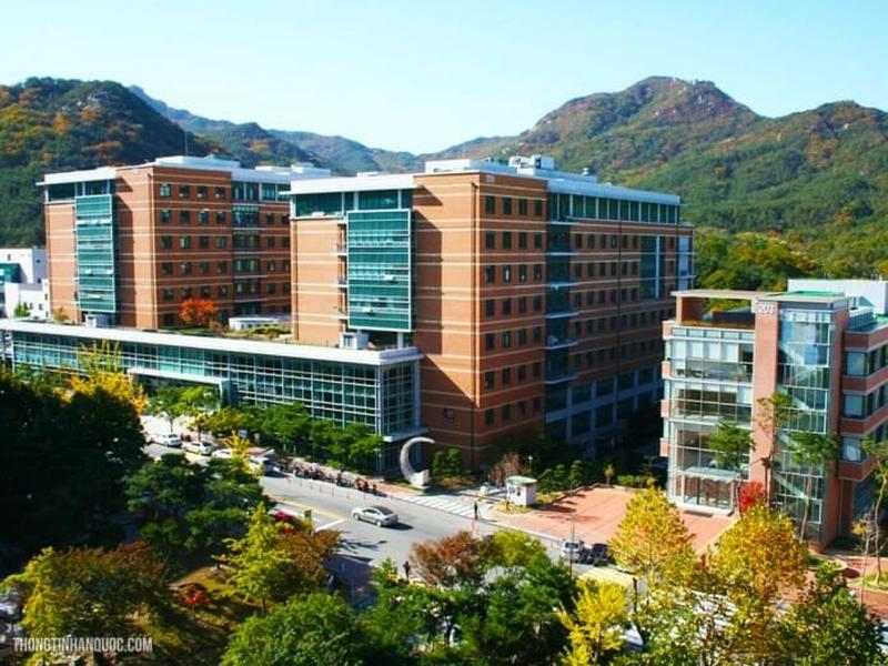 Güney Kore Seul Üniversitesi’nde Eğitim Nasıldır?