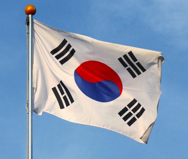 Kore Cumhuriyeti'nin Bayrağı Nasıldır