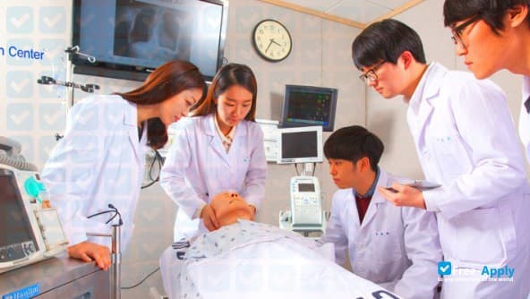 Kore’deki Tıp Fakülteleri Hangileridir?