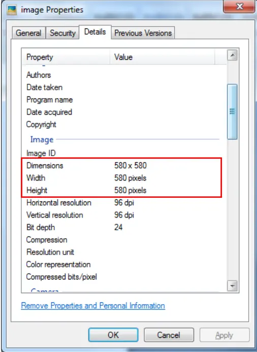 Hindistan Vizesi için Fotoğraf Yükleme İşlemi Nasıl Yapılır? 4