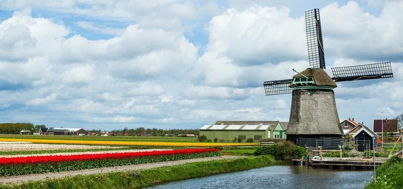 Hollanda Tarım Politikası Nasıldır?