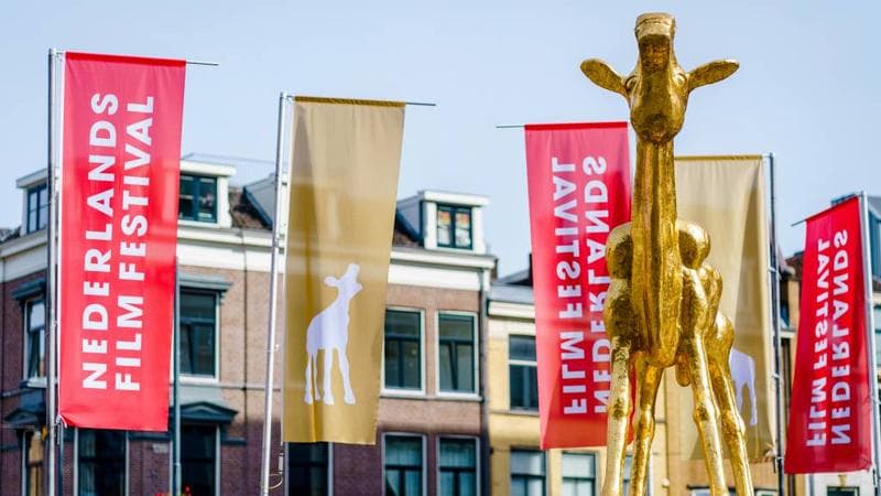 Hollanda'da Düzenlenen Film Festivalleri Hangileridir?