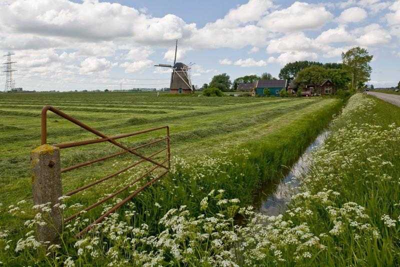 Hollanda'nın Coğrafi Özellikleri Nasıldır?