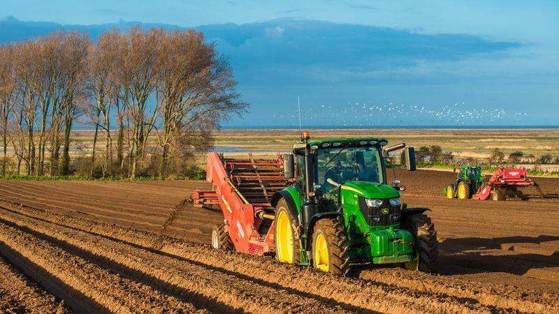 İngiltere'de Tarım Sektörü Nasıldır?