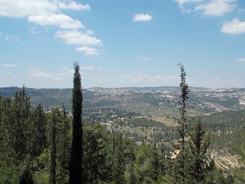 İsrail Ormanları ve Bitki Örtüsü Nasıldır?