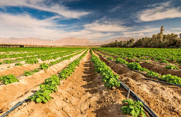 İsrail'de Tarım Sektörü Nasıldır?