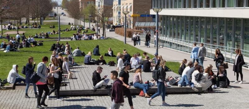 İsveç Üniversite Eğitimi Nasıldır?