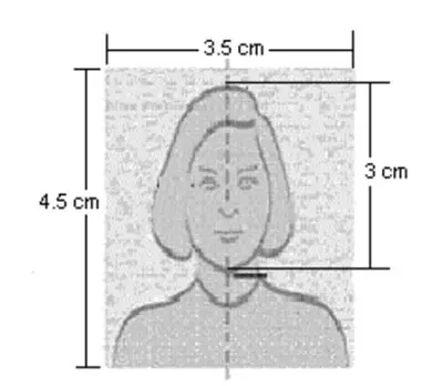 İsveç Vizesi için Biyometrik Fotoğraf Ölçüsü
