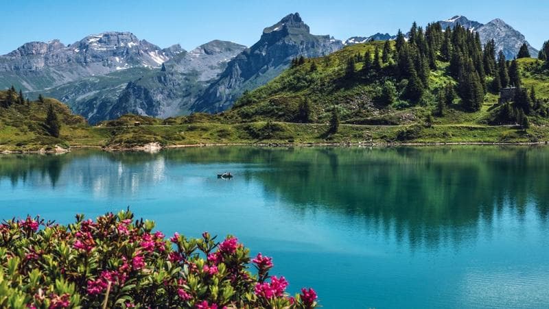 İsviçre Alp Dağları Nerededir?
