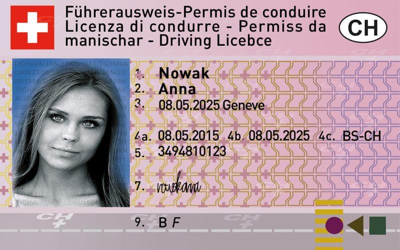 İsviçre Ehliyeti Görseli