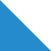 Zürih Kantonu'nun Bayrağı
