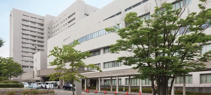 Osaka'da Sağlık Hizmetlerine Erişim Nasıldır?