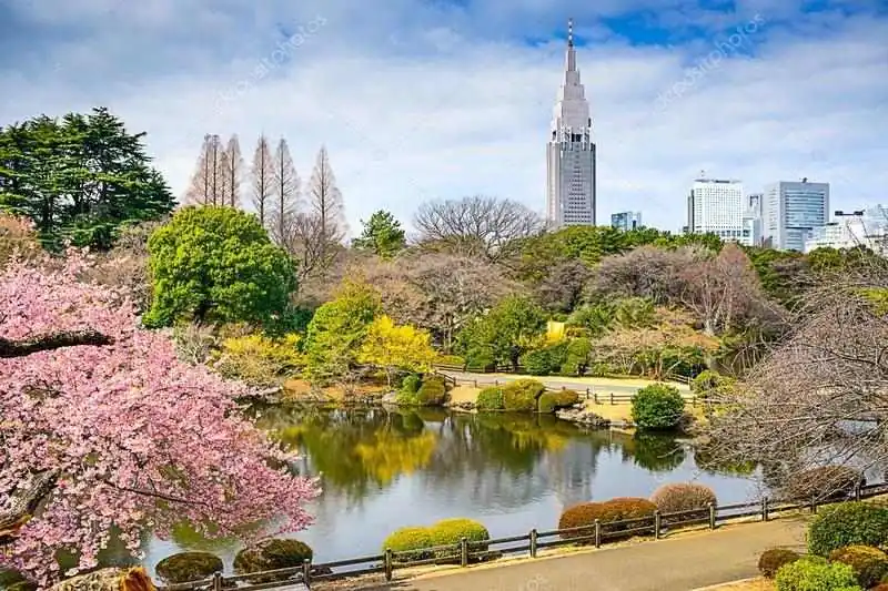 Shinjuku Gyoen Parkı Nerededir?