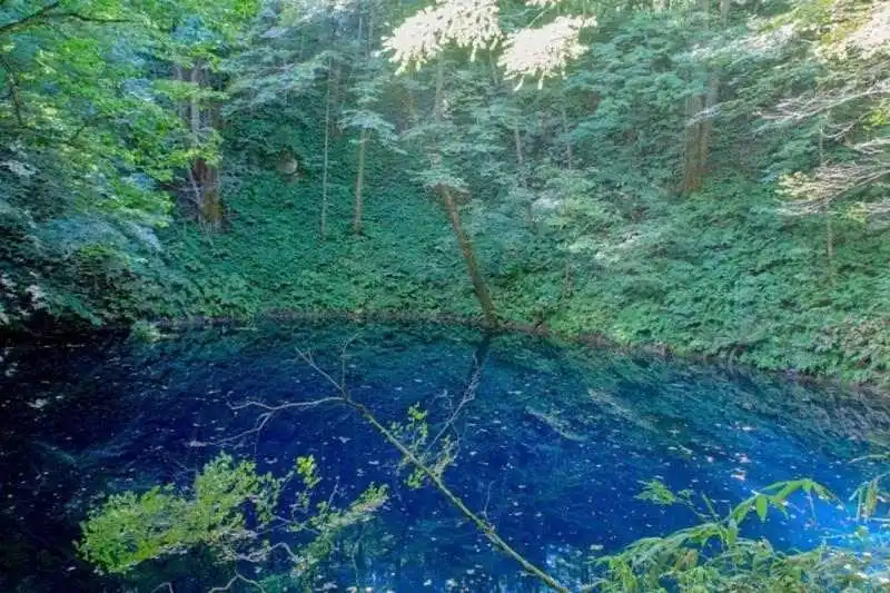 Yaz Tatili için En Uygun Japon Şehirleri Hangileridir?