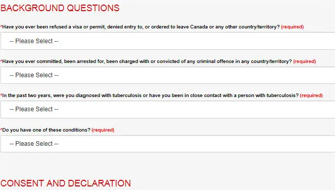 Kanada Vizesi Başvuru Formu Örneği #4