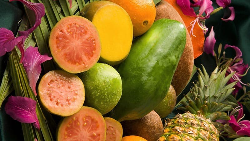 Küba Seyahatinde Alınabilecek Küba Meyveleri