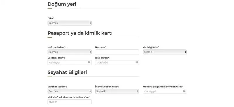 Meksika Elektronik Vize Başvurusu Nasıl Yapılır? #2