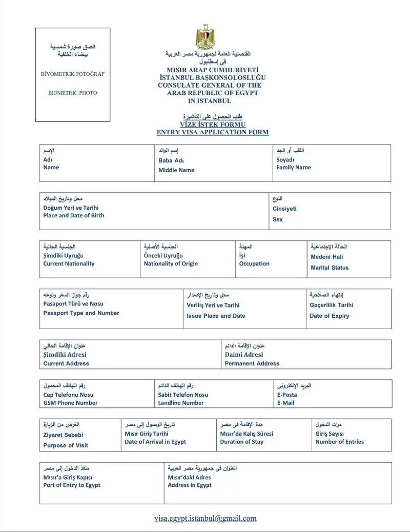 Mısır Vize Başvuru Formu Nasıl Doldurulur?