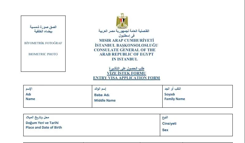 Mısır Vizesi Başvuru Formu Nasıl Doldurulmalı?