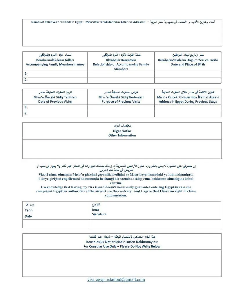Mısır Ziyaret Vizesi Başvuru Formu Nasıl Doldurulur? #2