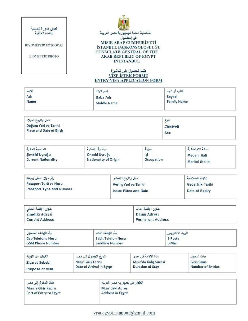 Mısır Ziyaret Vizesi Başvuru Formu Nasıl Doldurulur?