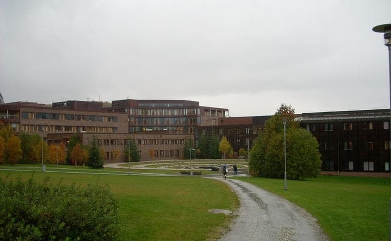 Tromsø Üniversitesi Eğitimi Nasıldır?
