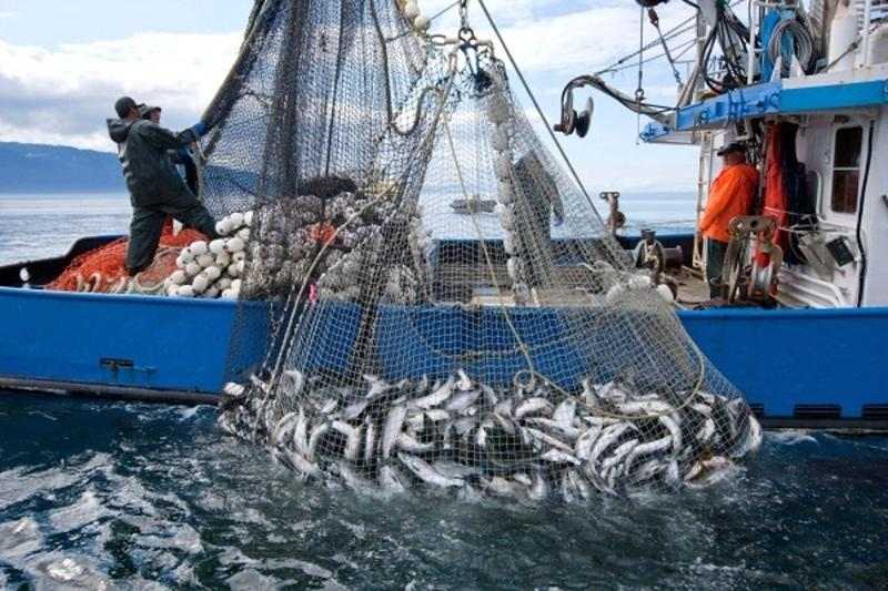 Rusya Balıkçılık Sektörü Nasıldır?
