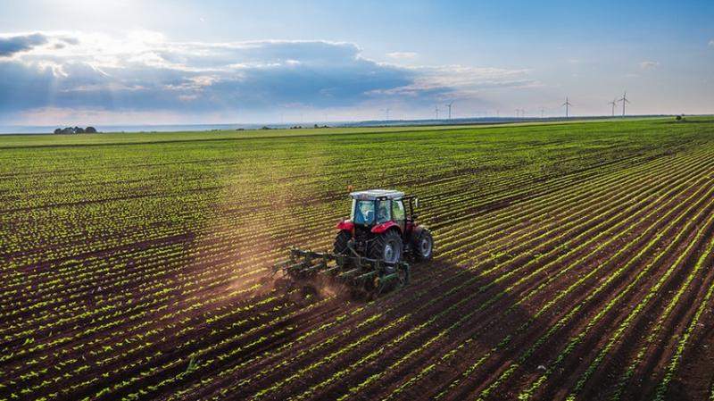 Rusya Tarım Sektörü Nasıldır?