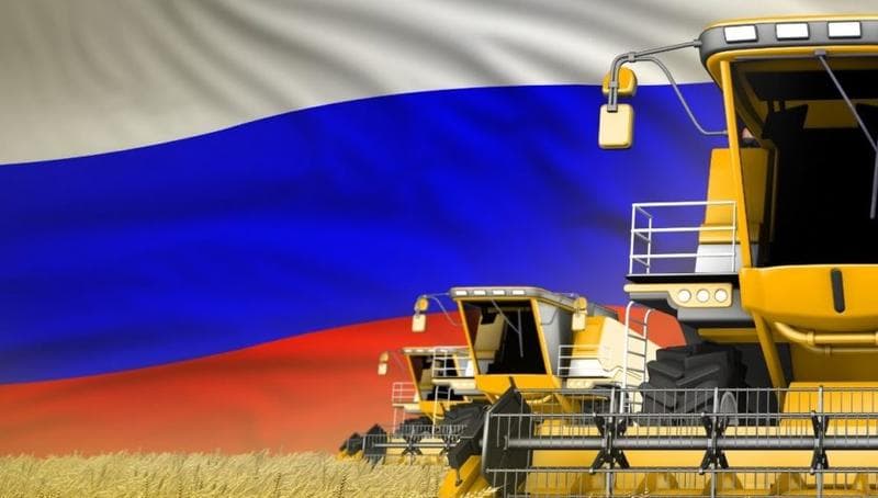 Rusya’nın Tarım Ürünleri Nelerdir?
