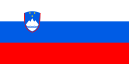 1991 Slovenya Bayrağı
