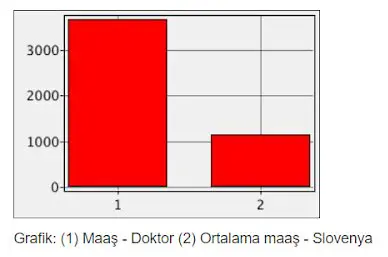 Slovenya Doktor Maaşı ve Ortalama Maaş