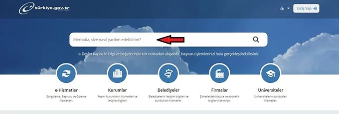 E-Devlet Arama Alanı